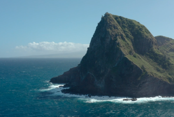 Aux Racines d&rsquo;Hawaï